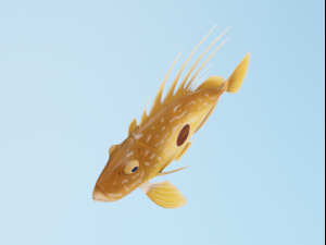 JohnDory Modelo 3D
