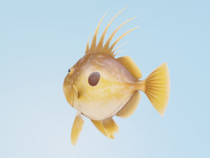 JohnDory Modelo 3D