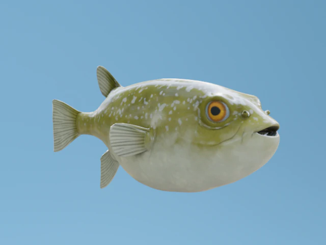 Kugelfisch 3D Modell .c4d .max .obj .3ds .fbx .stl .blend 