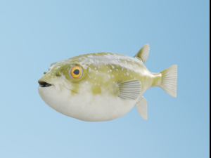 PufferFish Modelo 3D