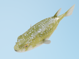 PufferFish Modelo 3D