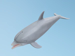 Golfinho Modelo 3D