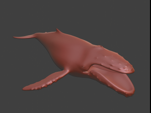 HumpBack Modello 3D