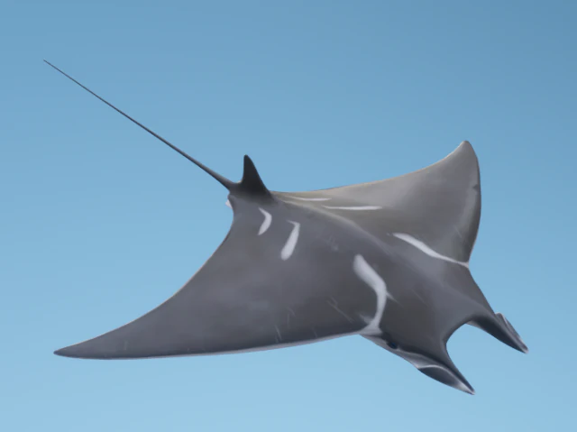 DiaboRay Modelo 3D .c4d .max .obj .3ds .fbx .stl .blend 