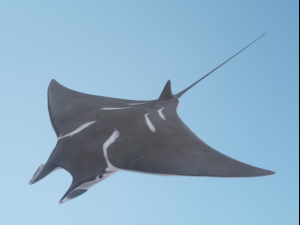 DevilRay 3D 모델