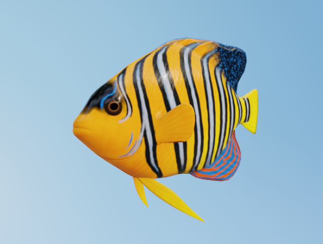 AngelFish Modello 3D .c4d .max .obj .3ds .fbx .stl .blend