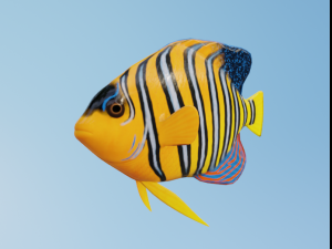 AngelFish 3D Model