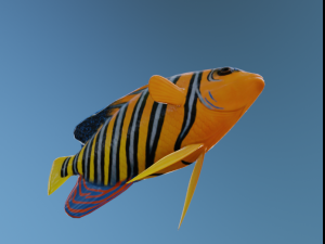 AngelFish Modello 3D