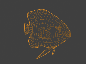 AngelFish Modello 3D