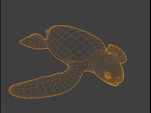 Baby Turtules 3D Model