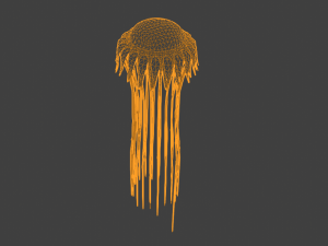 Atolla Modelo 3D