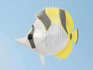 Butterflyfish Modelo 3D