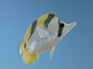 Butterflyfish Modelo 3D