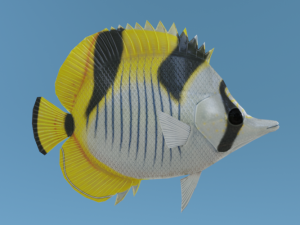 Butterflyfish Modelo 3D