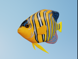 Osean Pack 3D Model