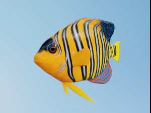 Osean Pack 3D Model