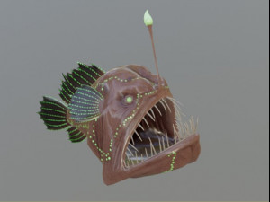 Osean Pack 3D Model