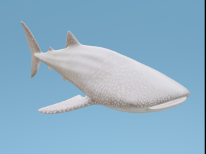 Osean Pack 3D Model