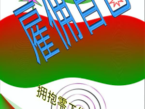 Freelancer in China 3D Model