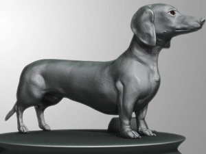 Quality s 3D Model