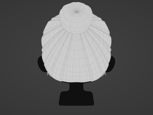 Female Hair Style 04 3D Model