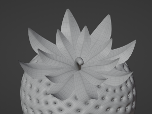 Strawberry Model 3D