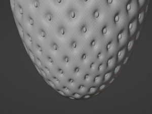 Strawberry Model 3D