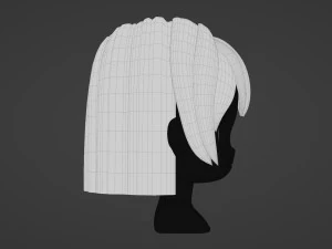 Female Hair Style 13 3D Model