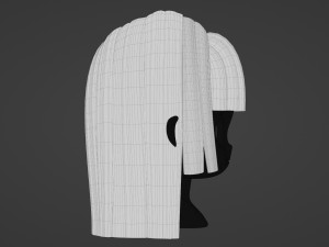 Female Hair Style 15 3Dモデル