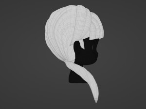 Female Hair Style 17 Model 3D