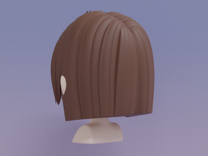 Female Hair Style 20 3D 模型