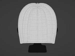 Female Hair Style 20 3D 模型