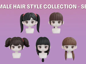 Set di acconciature femminili 01 Modello 3D