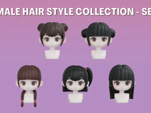 Set di acconciature femminili 02 Modello 3D