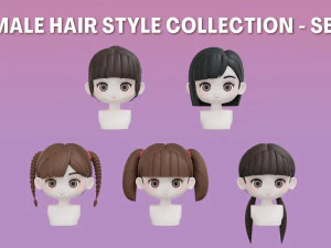 Set di acconciature femminili 03 Modello 3D