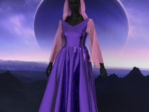 3D digital clothing Modelo 3D