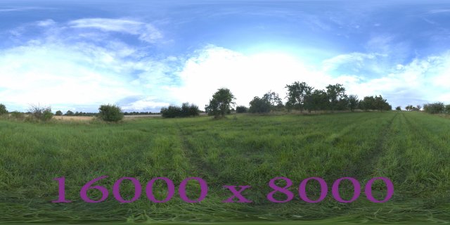 Morning in the meadow Modello 3D .c4d .max .obj .3ds .fbx .stl .blend 