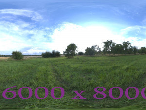 Morning in the meadow 3Dモデル