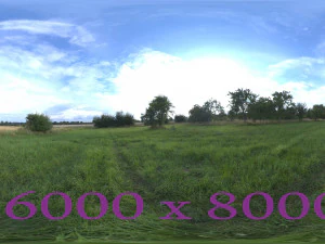 Mattina nel prato CG Textures