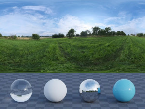 Morning in the meadow Modello 3D