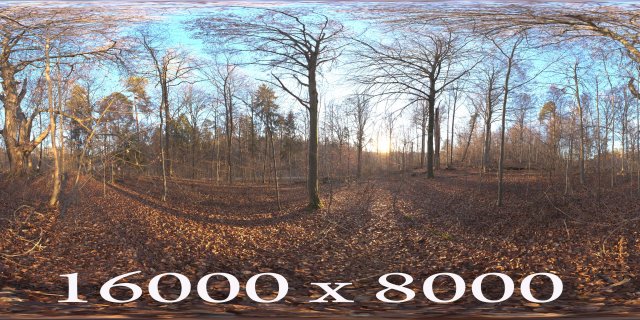 Autumn Forest 3D 模型 .c4d .max .obj .3ds .fbx .stl .blend 
