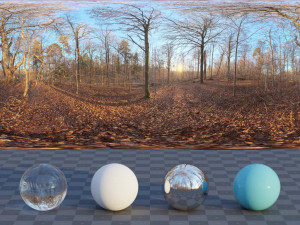 Autumn Forest 3D 模型
