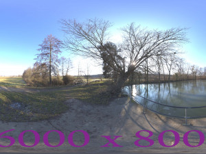 Frozen pond 3Dモデル