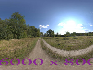 Forest Road 3Dモデル