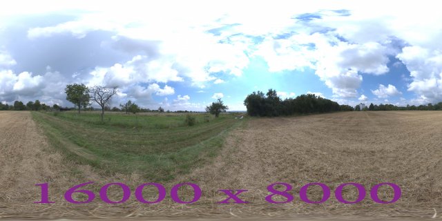 Dry Field 3D Модель .c4d .max .obj .3ds .fbx .stl .blend 