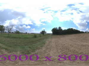 Dry Field 3Dモデル