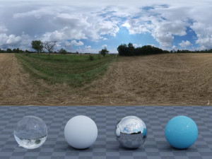 Dry Field 3D Модель