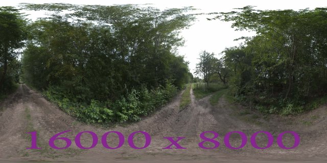 Dirt Path 3D 模型 .c4d .max .obj .3ds .fbx .stl .blend 