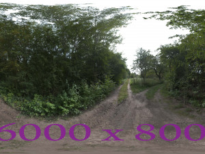 Dirt Path 3Dモデル