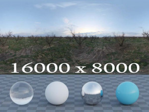 Dried Garden 3D 模型